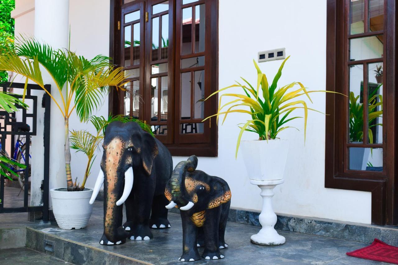 Alffa Guest Inn Trincomalee Exteriér fotografie